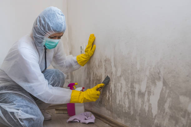 Best Biohazard Mold Removal  in Terre Hill, PA