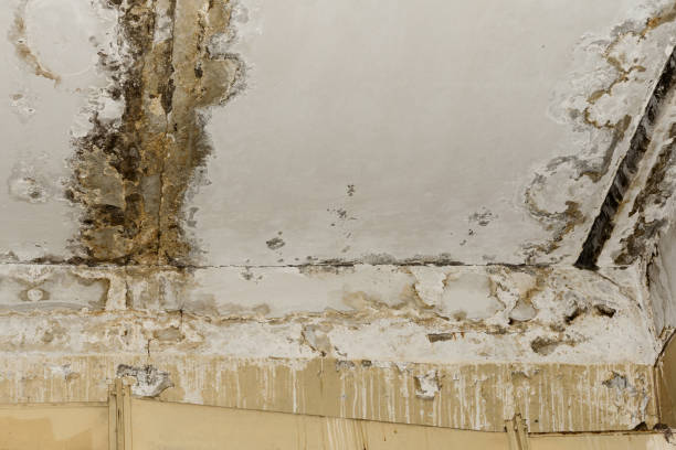 Best Indoor Air Quality Assessment  in Terre Hill, PA
