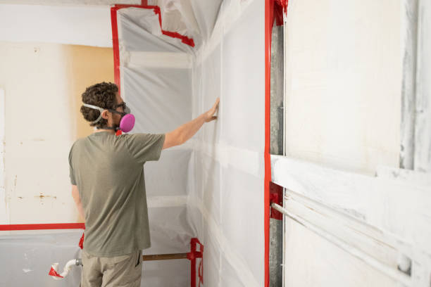 Best Black Mold Removal  in Terre Hill, PA