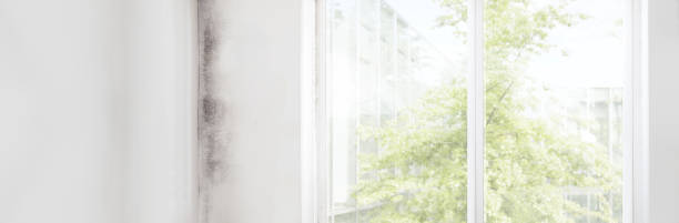 Best HVAC Mold Inspection and Cleaning  in Terre Hill, PA