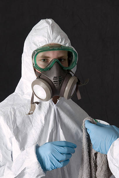 Best Black Mold Removal  in Terre Hill, PA