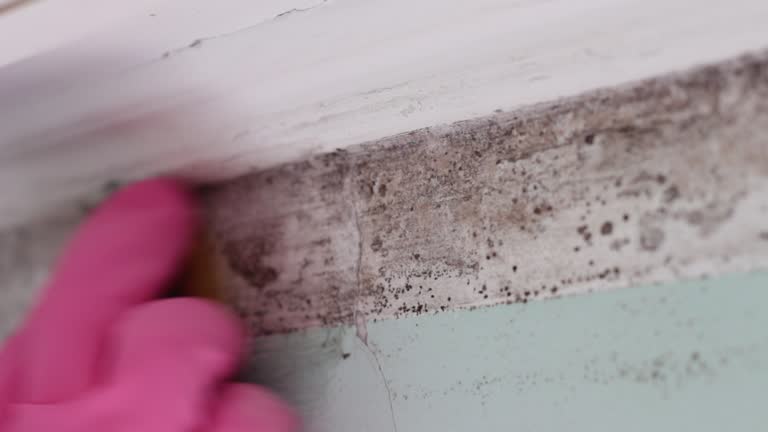 Best Dehumidification Services  in Terre Hill, PA